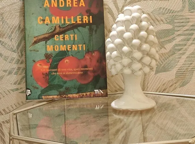 Il Meraviglioso Di Amélie Affittacamere 4*